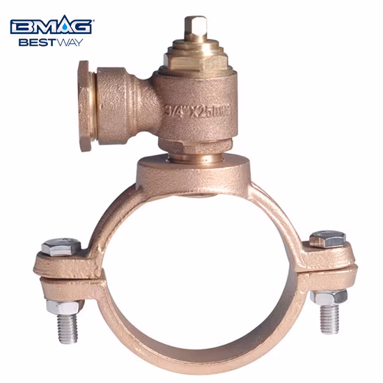 Bronze-Ferrule-Sattel/Ferrule-Gurt mit Pushfit