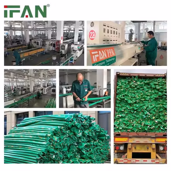 Ifan Großhandel, Kunststoff, grünes PPR-Material, Sanitärarmaturen, Hochdruck-Pn25-Messing-Kugelhahn